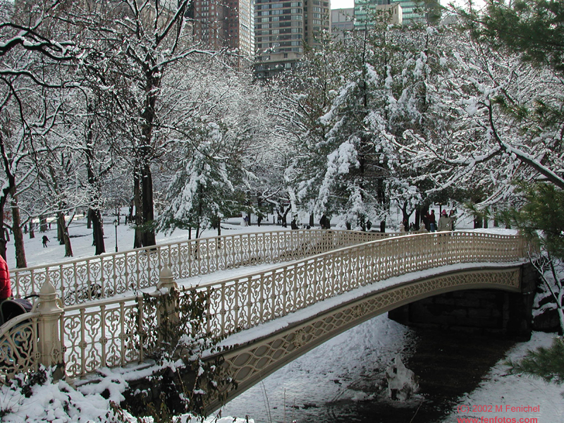 [White Christmas in Central Park]