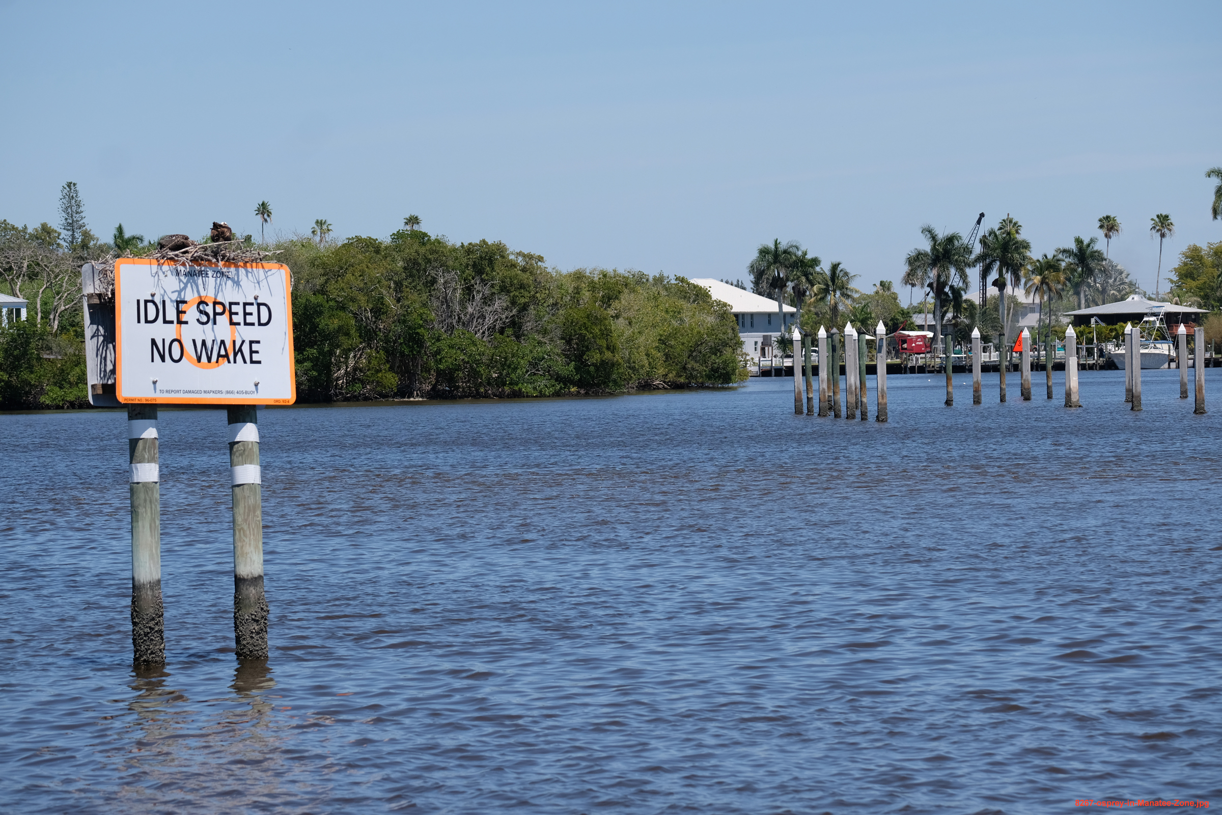 Osprey Nest on Sign in Everglades
