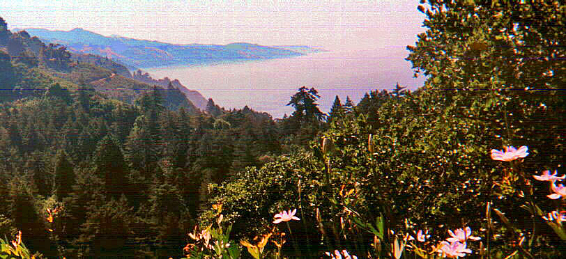 [View from Nepenthe, Big Sur]