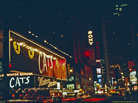 [Broadway Classic - Cats]