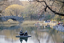 [Central Park with Henry Moore]