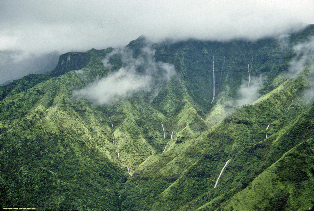 [Kaua'i Rain Forest]