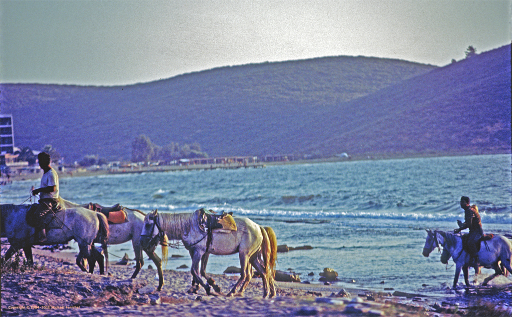 [Sea at Dusk near Kismet]