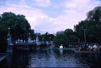 [Boston Gardens]