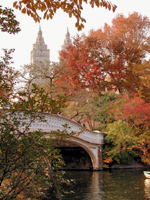 [Bow Bridge & San Remo]