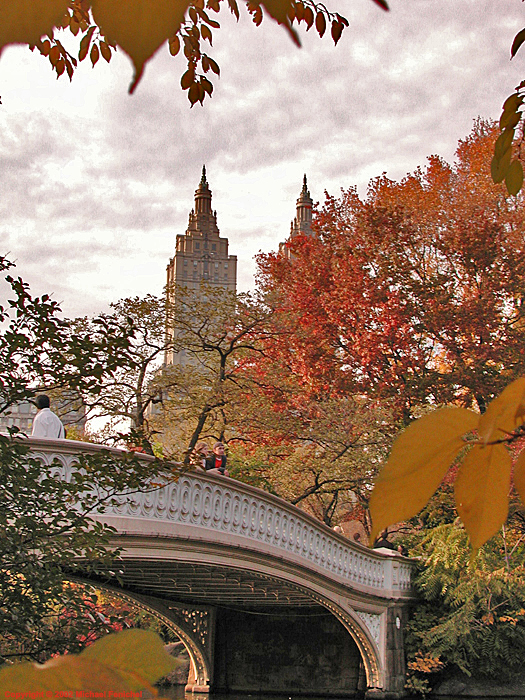 [Bow Bridge in Autumn]