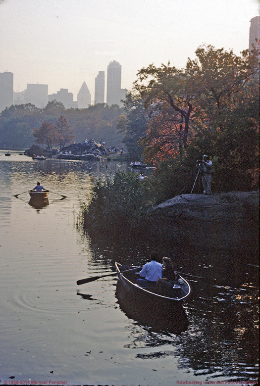 Central Park - Autumn View