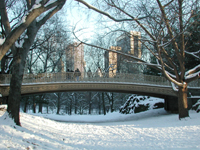 [Bridge and Blue Skies]