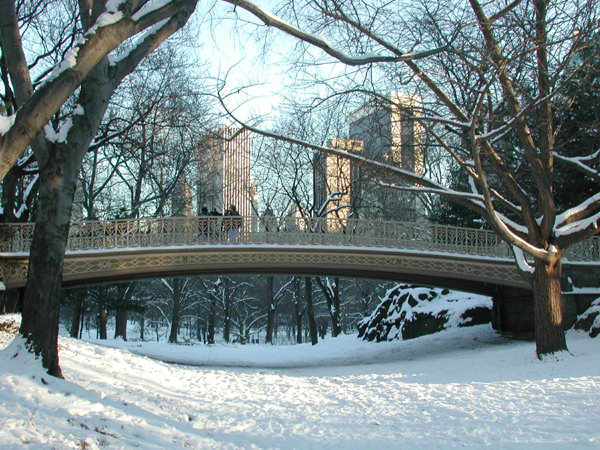 Vintage Bridge