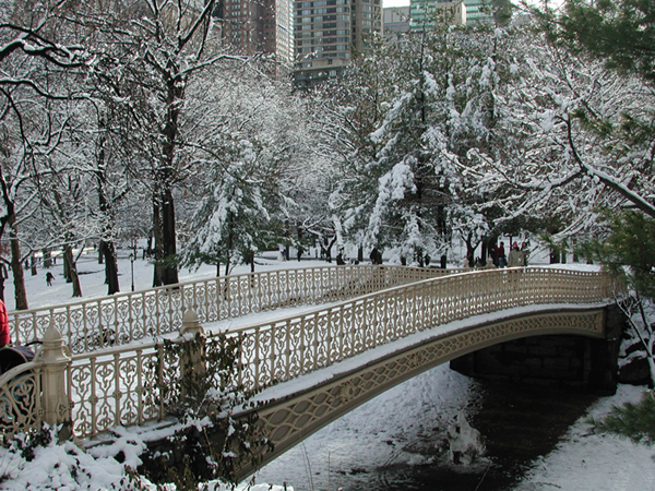 [Snow-covered Bridge]