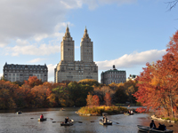 [Central Park Pond in Autumn]