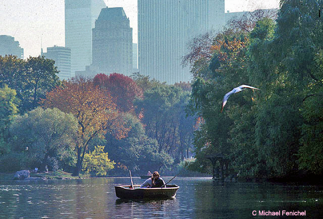[Couple in Rowboat with Bird Overhead]