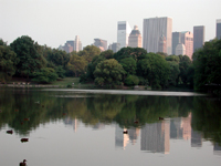 [CP Pond, Ducks, Skyline]