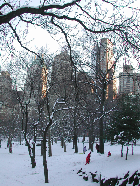 [Children, Trees, and Snow]