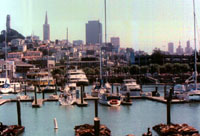 [View from Pier 39]