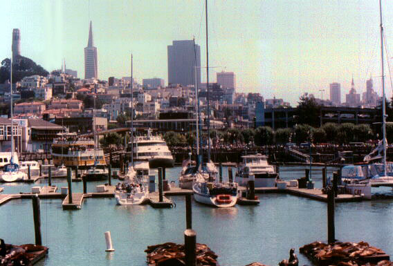 [San Francisco Bay, Pier 39]