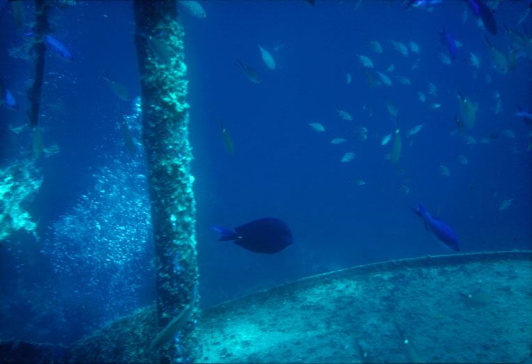 [Underwater Playground]