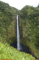 [Akaka Falls, B.I.]