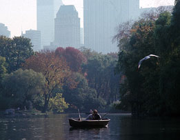 [CP Boat and Bird]