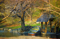 [Central Park Rowboat]