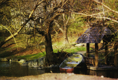 [Central Park Rowboat]