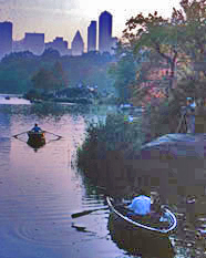 [CP Boats and Skyline]