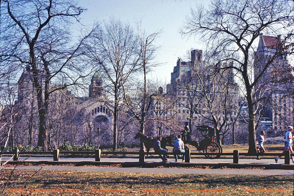 [Central Park Horse & Buggy]