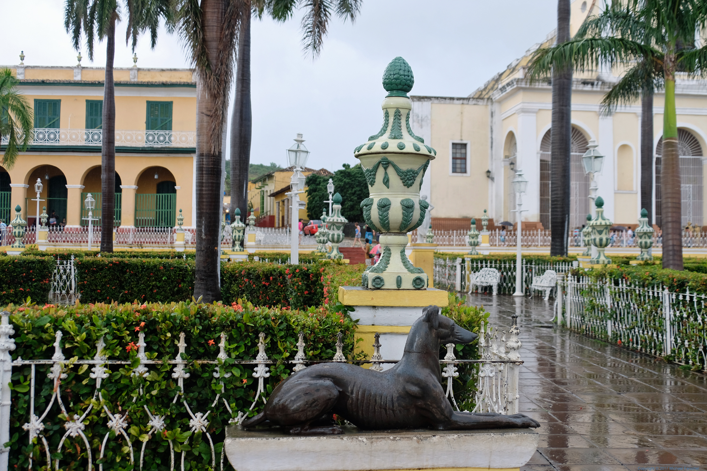 4649-plazamayor-wetdog-lg.jpg