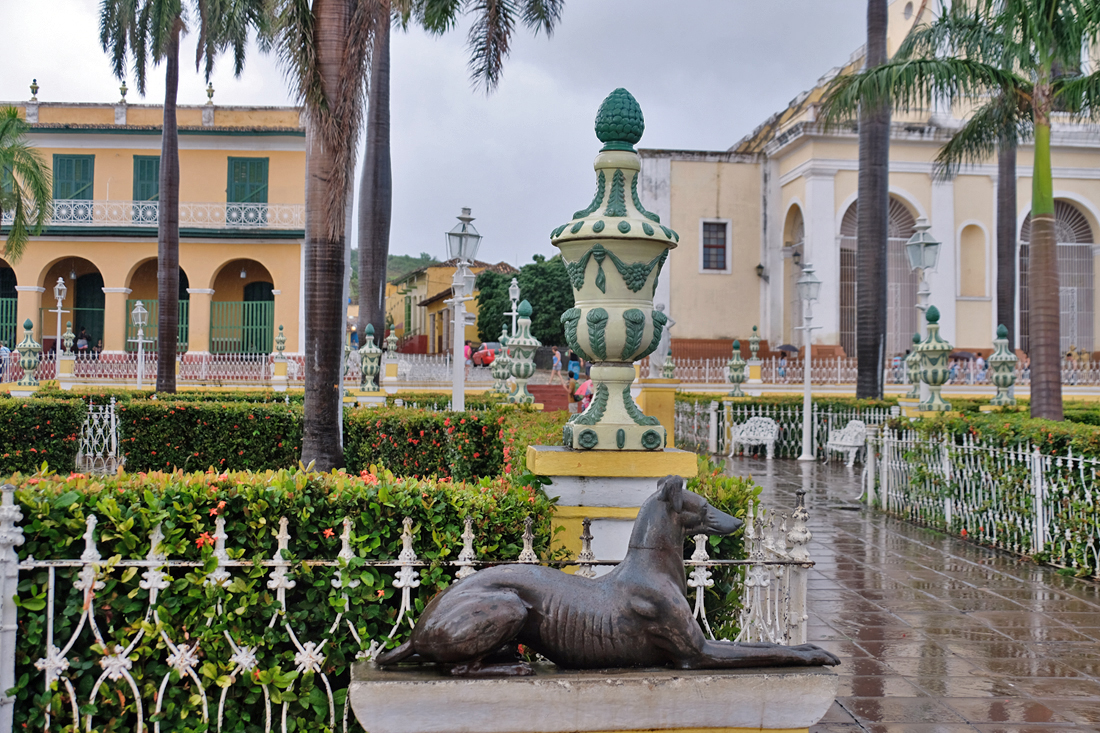 Wet dog on Plaza Mayor, Trinidad