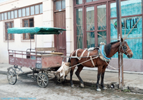 [Cargo Transport on Cobblestone]