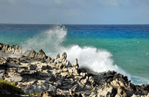 [Maui panorama]