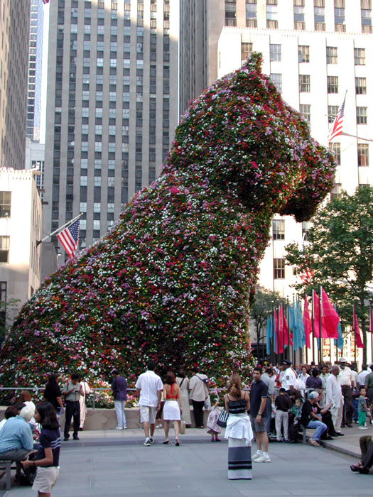 [Flower Dog]