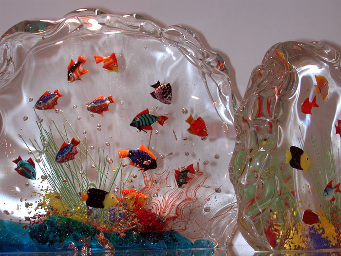 photography by fenichel glass fish glass fish 700x525