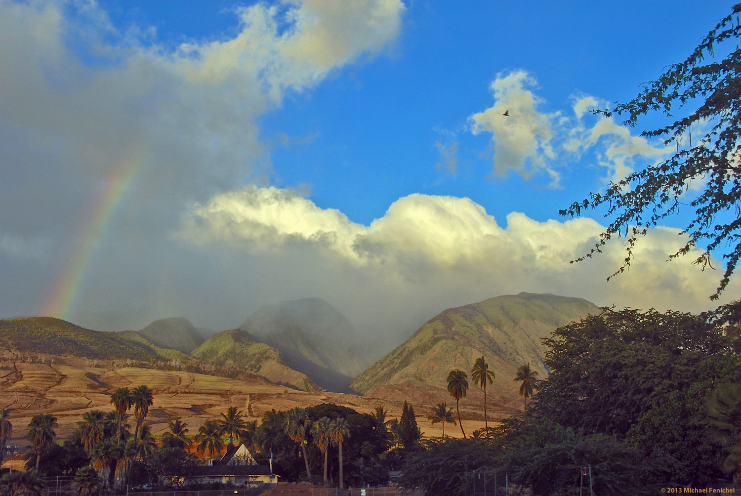 Maui Rainbow