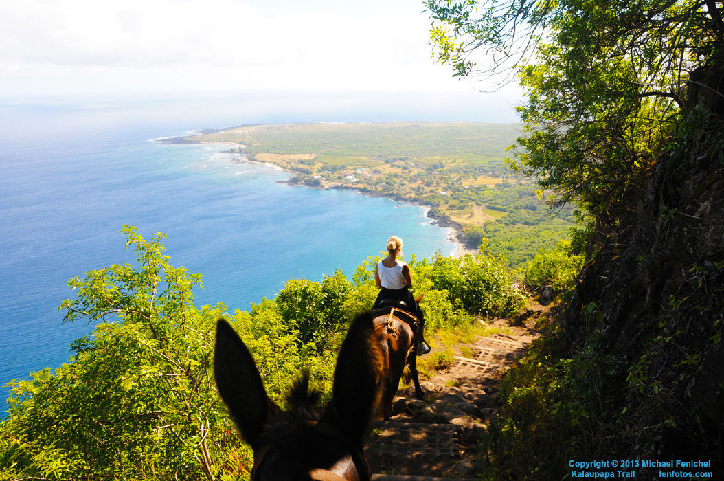 [Kalaupapa Trail by mule]