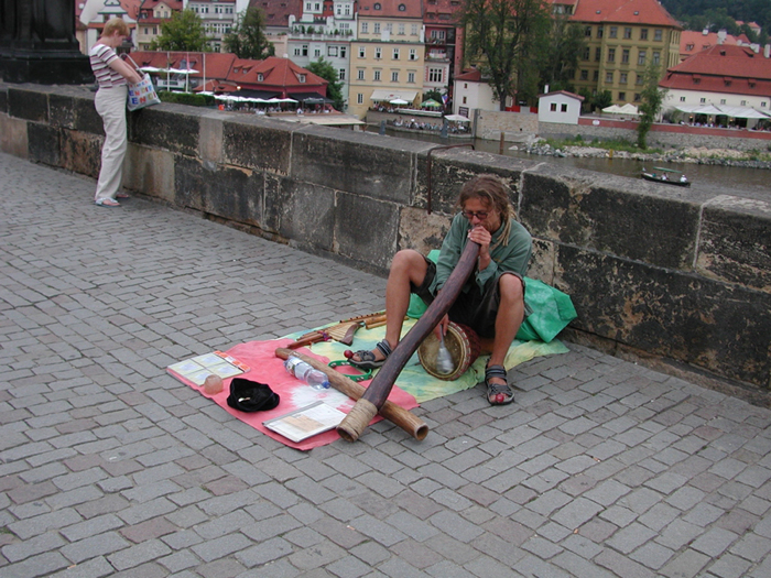 [Didgeridoo and Charles Too - Click for 30 sec video]