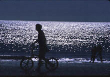 [Bicycle Silhouette]