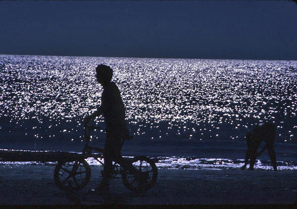 [Silhouette on the Beach]