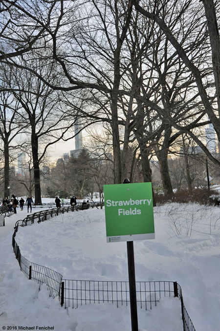 [Strawberry Fields in Snow]