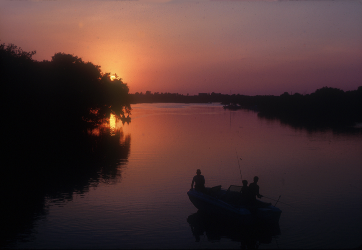 Tamiami Sunset