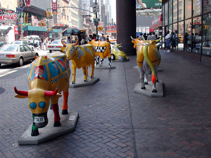 [Taxi Cows]