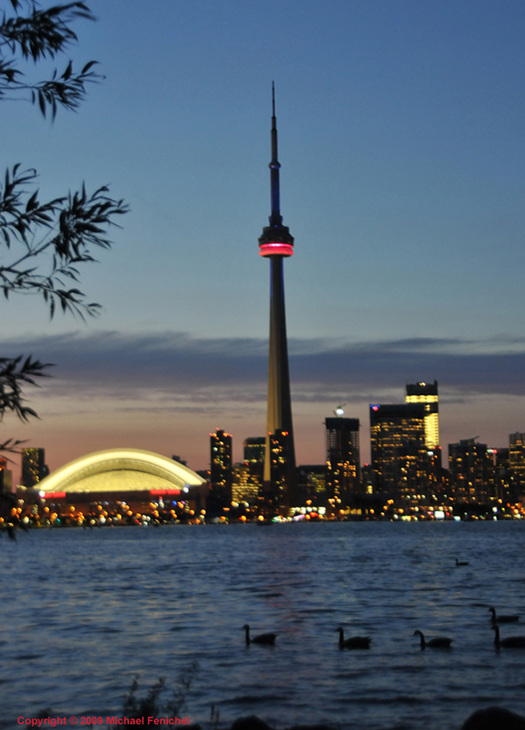 [CN Tower and Ducks at Sunset]