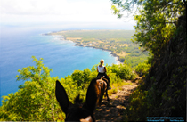 [Kalaupapa Trail]